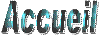 Conception du site